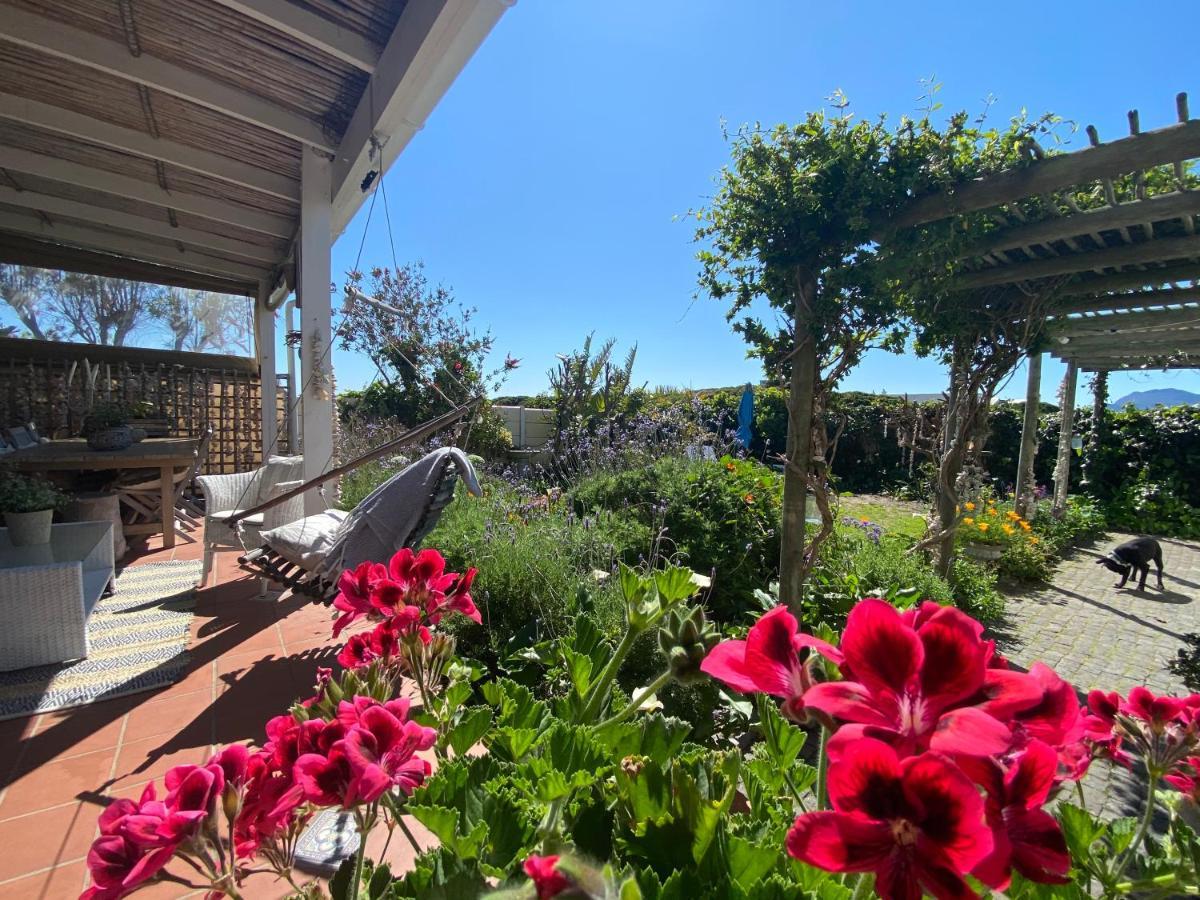 Guinea Fowl House Hotel Kommetjie Buitenkant foto