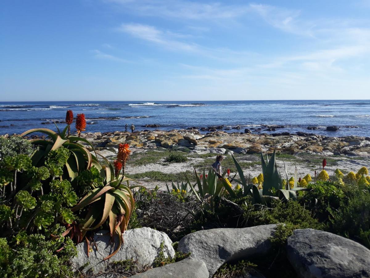 Guinea Fowl House Hotel Kommetjie Buitenkant foto